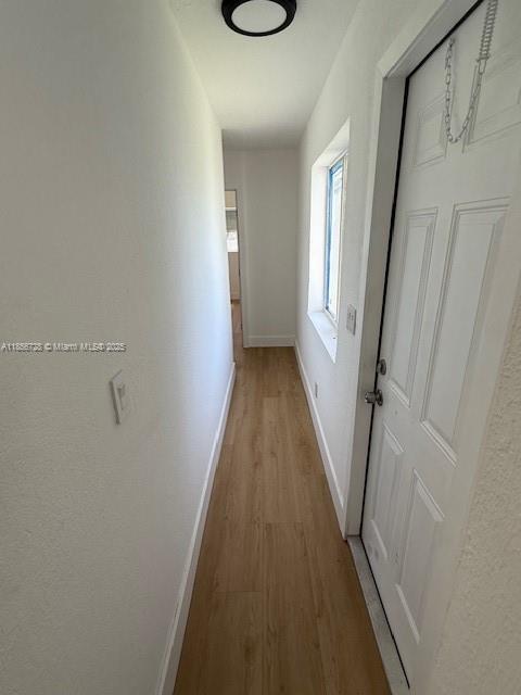 1123 N 17th Ct 2, Hollywood, Florida 33020