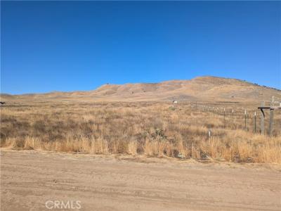 Garnet Road, California Valley, 加州 93453, 美國