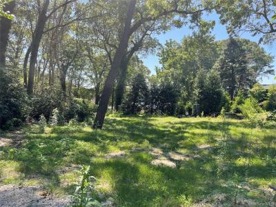 Little Neck Road, Huntington, New York 11721, HOA KỲ