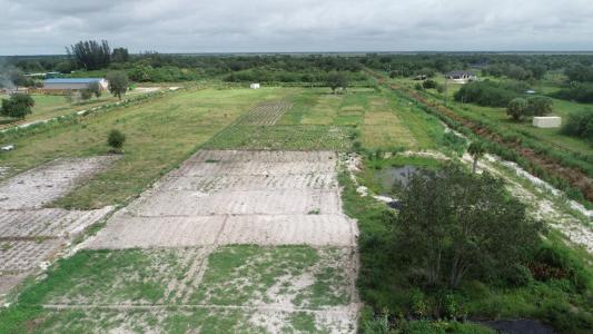 Lot- 1620 Antoinette Street, Loxahatchee, Florida 33470