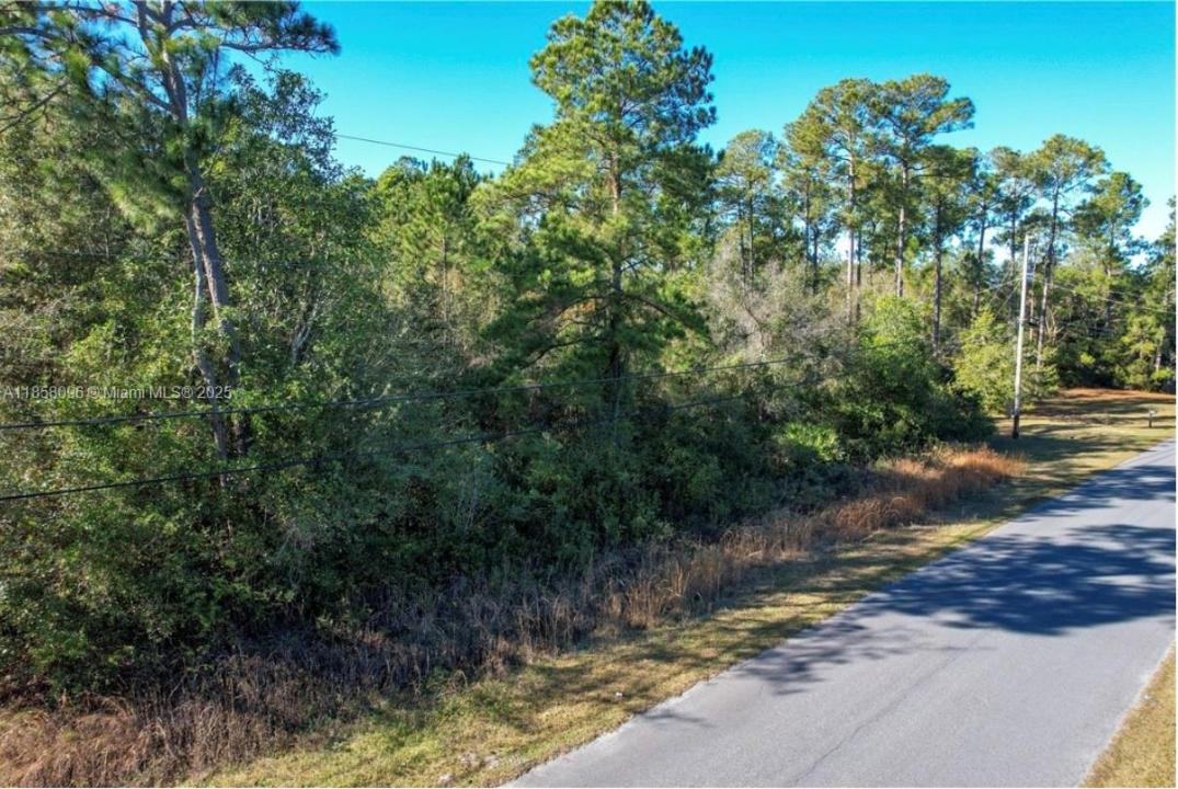 LOT 36 BURMEISTER RD, Other City - In The State Of Florida, Floryda 32034, USA