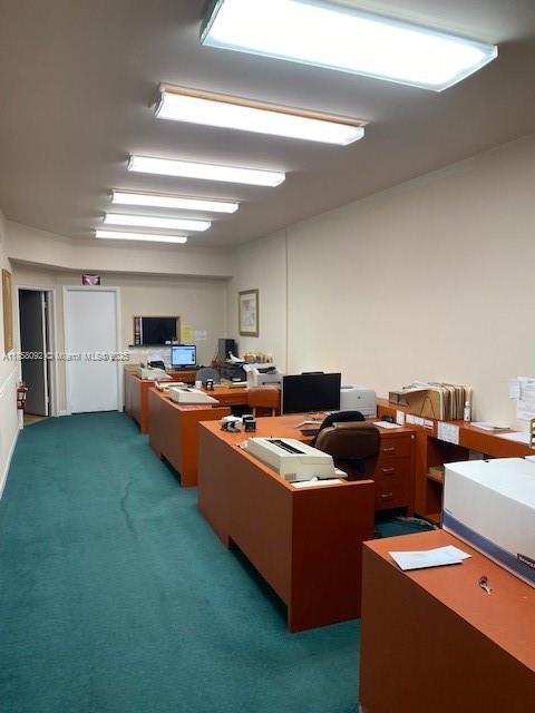 2138 Hollywood Blvd, Hollywood, 佛罗里达州 33020, 美国