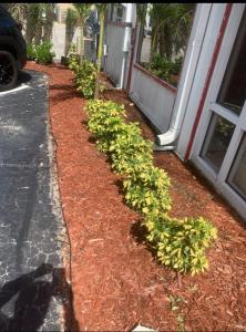 Naples, Floride 34109, États-Unis