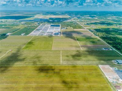 32600 SW 217 AV, Homestead, Florida 33030