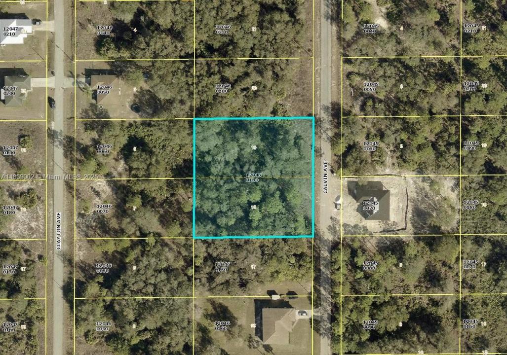 1511 calvin, Lehigh Acres, 佛罗里达州 33972, 美国