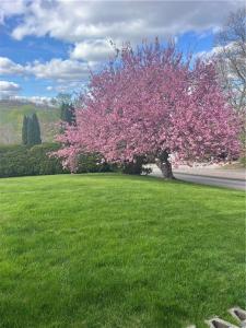 5 Boy Scout Drive, Westerly, RI 02891, USA