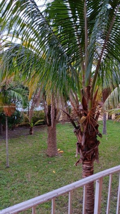 1826 Cleveland St 6, Hollywood, Florida 33020