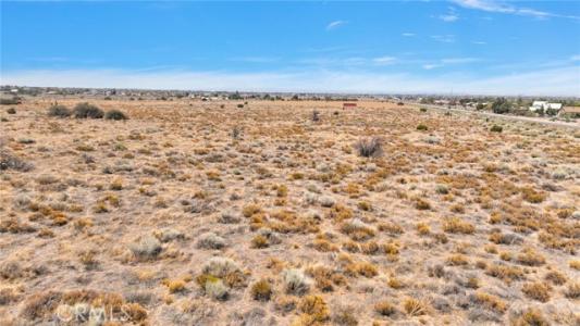 Cedar Street, Phelan, California 92371, Estados Unidos