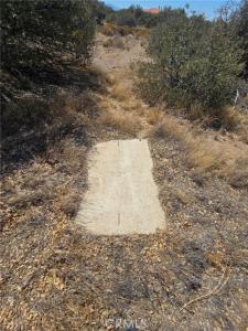 Cedar Street, Phelan, California 92371, Estados Unidos