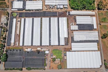 Cassou Road, San Marcos, カリフォルニア 92069, アメリカ合衆国