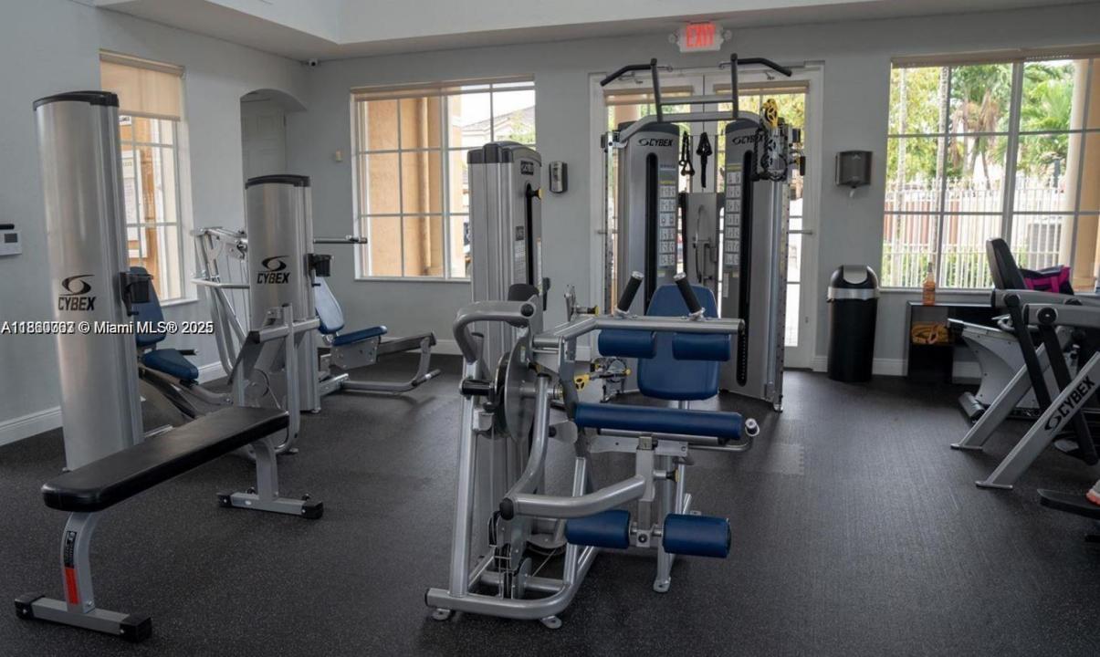 12447 SW 124th Path, Miami, Flórida 33186, Estados Unidos