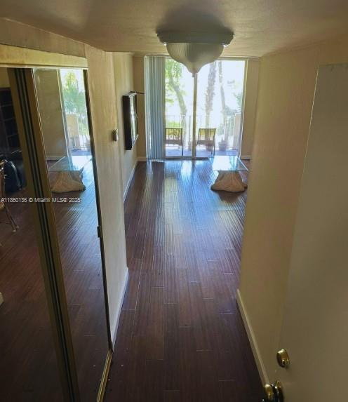 2350 NE 135th St 202, North Miami, 佛羅里達州 33181, 美國