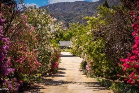 Saddle Lane, Ojai, Kalifornien 93023, USA