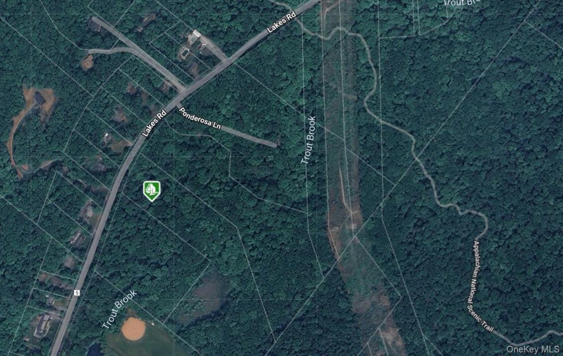 1181 Lakes Road, Monroe, Nueva York 10950, Estados Unidos