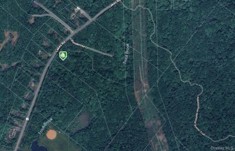 1171 Lakes Road, Monroe, Nova Iorque 10950, Estados Unidos