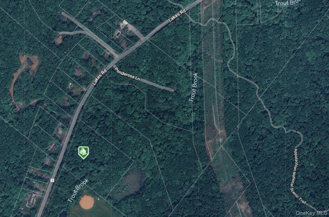 1187 Lakes Road, Monroe, Nueva York 10950, Estados Unidos