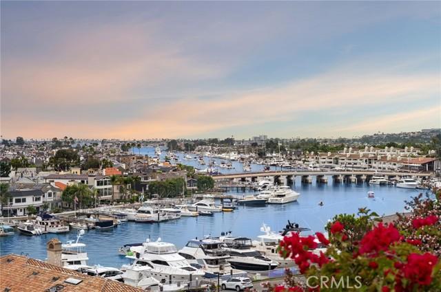 Dolphin, Corona Del Mar, California 92625