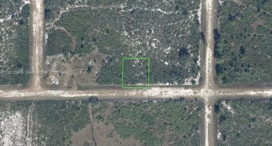 2222 favre rd, Avon Park, Florida 33825, USA