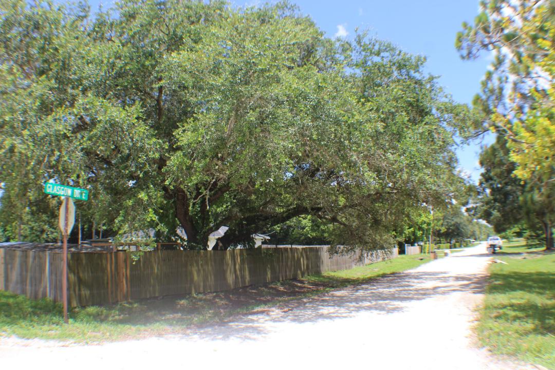 16790 E Glasgow Drive, Loxahatchee Groves, Loxahatchee Groves, Florida 33470