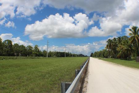 16790 E Glasgow Drive, Loxahatchee Groves, Loxahatchee Groves, Flórida 33470, Estados Unidos
