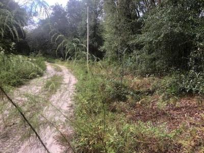 127 Sharon drive, Satsuma, Florida 32189, Stati Uniti