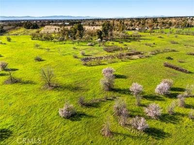 Dayton Road, Chico, Kaliforniya 95928, Amerika Birleşik Devletleri