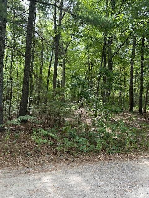 Yeles Lane, Hopkinton, Rhode Island 02873, Estados Unidos