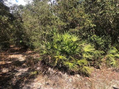 0 Oregon Street, Interlachen, Floride 32148, États-Unis