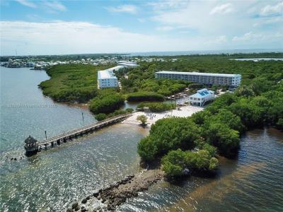 Tavernier, Florida 33037, USA
