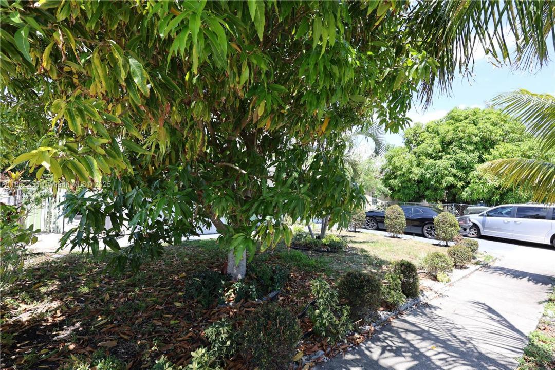 4641 NE 1st Ave, Deerfield Beach, Florida 33064