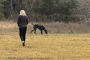 HCR 2224, Aquilla, טקסס 76622, ארצות הברית של אמריקה 