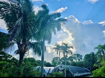 3730 161st Ter N, Loxhatchee Groves, Loxahatchee, Florida 33470