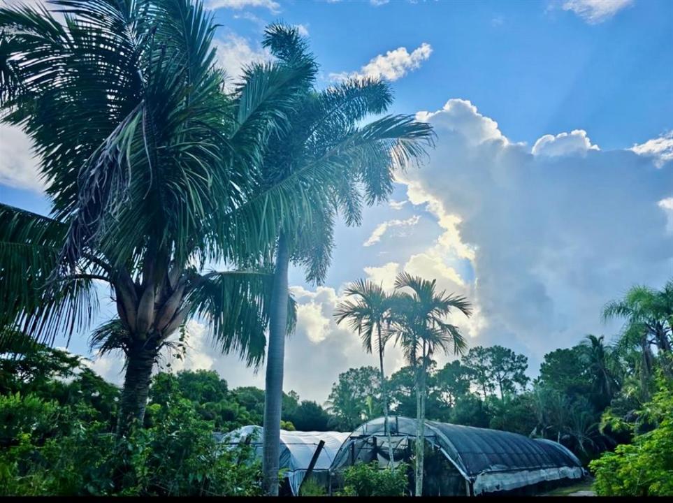 3730 161st Ter N, Loxhatchee Groves, Loxahatchee, Florida 33470
