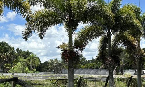 3730 161st Ter N, Loxhatchee Groves, Loxahatchee, Florida 33470