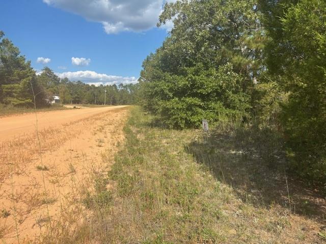 0 Nezperce Drive, Alford, Flórida 32420, Estados Unidos