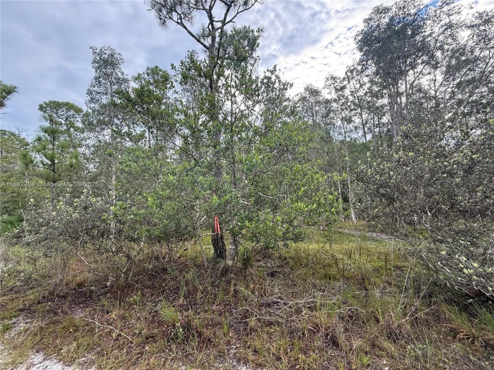 0000 UNASSIGNED, Hobe Sound, Florida 33455, Amerika Birleşik Devletleri