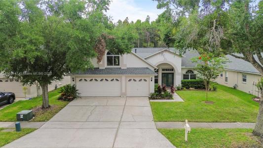 10217 Timberland Point Drive, Tampa, 佛羅里達州 33647, 美國