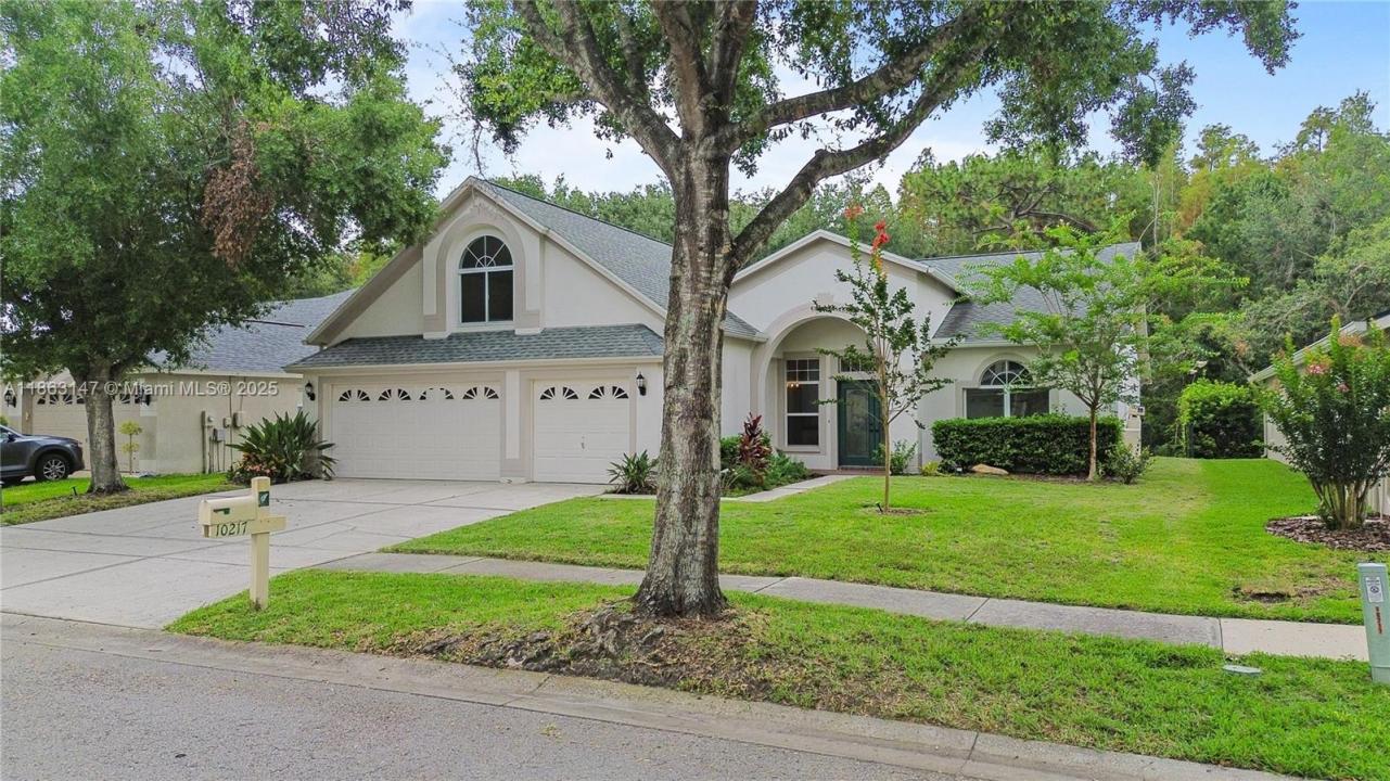 10217 Timberland Point Drive, Tampa, Флорида 33647, Соединенные Штаты