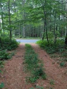 178 Pray Hill Road, Glocester, Rhode Island 02814, États-Unis