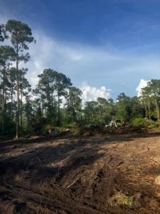 2018 Canton Avenue, Alva, Florida 33920, Stati Uniti