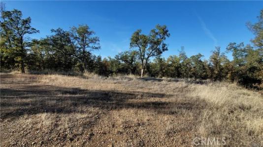Quail Ridge Road, Cottonwood, 加利福尼亚州 96022, 美国