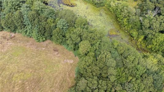 Peck Hill Road, Johnston, Rhode Island 02919, Estados Unidos