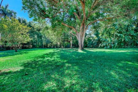 100 N Hibiscus Court, Plantation, Florida 33317, USA