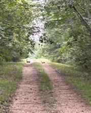 PR 5042, Bogata, Texas 75417