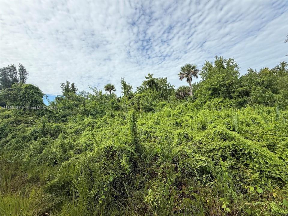 0000 UNASSIGNED, Hobe Sound, Floride 33455, États-Unis