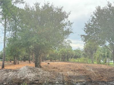 565 S DATIL ST, Clewiston, Florida 33440, USA