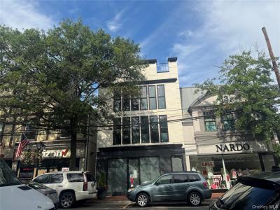 65 Middle Neck Road, North Hempstead, Nowy Jork 11021, USA