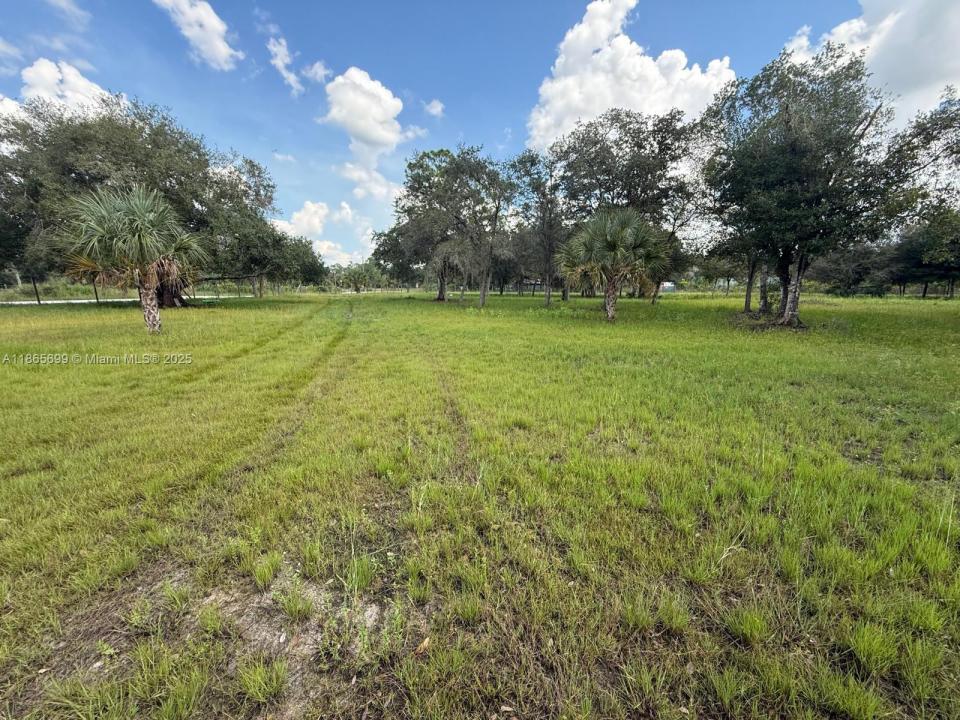 Clewiston, Florida 33400, Amerika Birleşik Devletleri