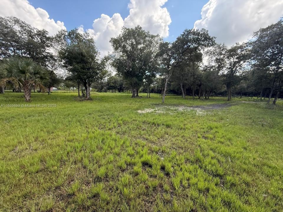 Clewiston, Florida 33400, Amerika Birleşik Devletleri
