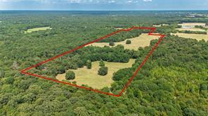 43 Acres FM 69, Quitman, Texas 75783, États-Unis